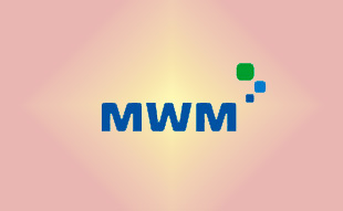 ✓ MWM 0403 3821 Запчасть MWM 